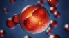 PREMIERĂ: ADN-ul din embrionul uman a fost modificat de către un cercetător suedez