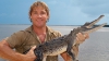  Steve Irwin şi-a presimţit sfârşitul? Ce a scris "Vânătorul de crocodili" părinţilor înainte de moarte