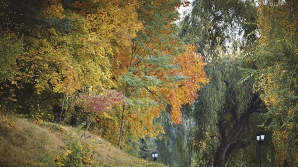 METEO 9 septembrie: Mult soare şi temperaturi generoase