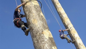 AMUZANT: Zeci de sportivi s-au întrecut în cadrul Campionatului Mondial de căţărat pe stâlpi (VIDEO)