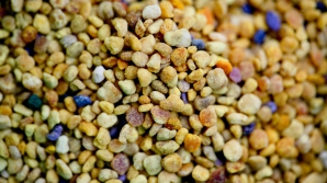 #LifeStyle. Cea mai SIGURĂ metodă de păstrare a polenului de albine