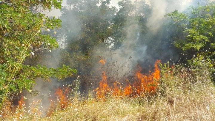 50 de incendii în 24 de ore! Flăcările au DISTRUS mai multe hectare de vegetaţie