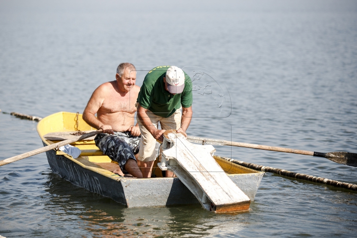 GREA ÎNCERCARE pentru salvatorii care participă la un campionat pe malul lacului Ghidighici (FOTOREPORT)