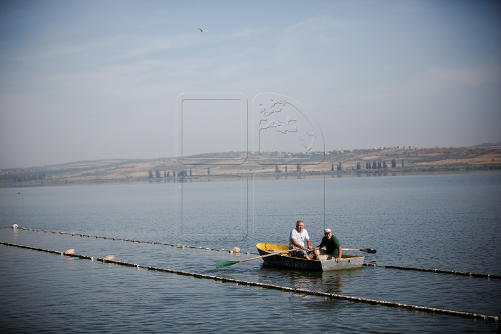 GREA ÎNCERCARE pentru salvatorii care participă la un campionat pe malul lacului Ghidighici (FOTOREPORT)