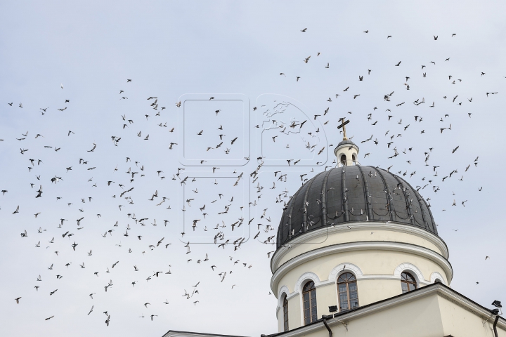 Inaugurare mult aşteptată! Monumentul celor trei martiri a reapărut în centrul Capitalei (FOTOREPORT)