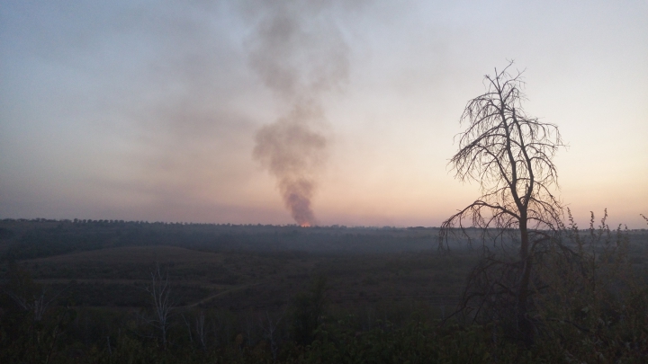 ALERTĂ! ARDE DEALUL de la Dănceni. FLĂCĂRILE SE EXTIND CU REPEZICIUNE (FOTO)