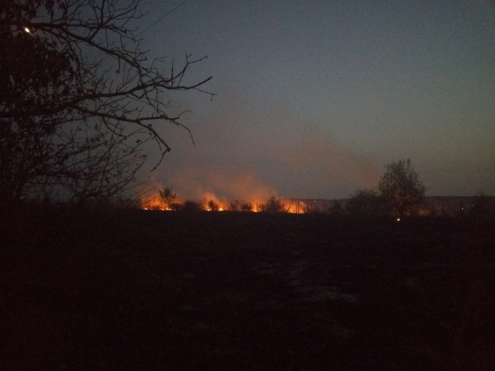 ALERTĂ! ARDE DEALUL de la Dănceni. FLĂCĂRILE SE EXTIND CU REPEZICIUNE (FOTO)