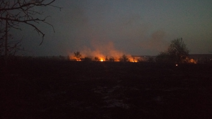 ALERTĂ! ARDE DEALUL de la Dănceni. FLĂCĂRILE SE EXTIND CU REPEZICIUNE (FOTO)