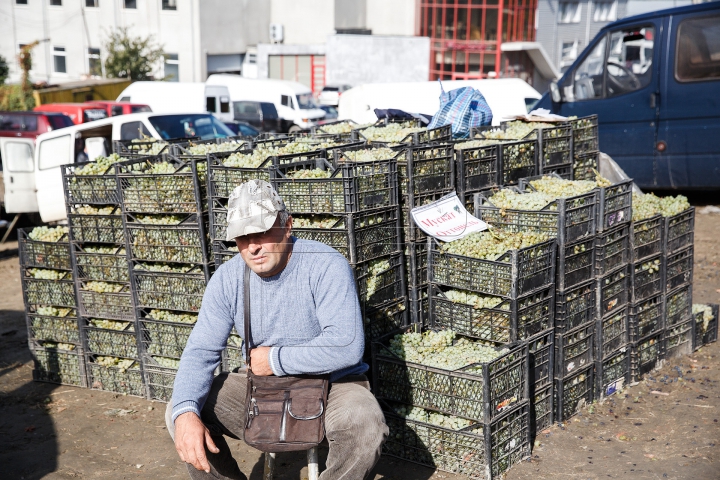 Mirosul de must a pus stăpânire pe ţară! Gospodarii promit vin de cea mai bună calitate (FOTOREPORT)