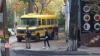 RUŞINOS! Un şofer de autobuz a fost surprins într-o IPOSTAZĂ SCANDALOASĂ (VIDEO)