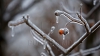 METEO 14 Octombrie 2016: Va fi FRIG! Câte grade vom avea în termometre