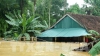 Vremea își face de cap în Vietnam: Zeci de persoane au murit în urma inundațiilor puternice
