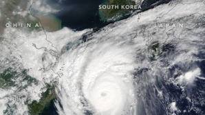 Taifunul Chaba face pagube în Japonia şi Coreea de Sud: Sute de locuinţe au fost distruse (FOTO)