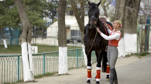 HIPISMUL previne stresul. Psihologii din cadrul IGP au testat această teorie