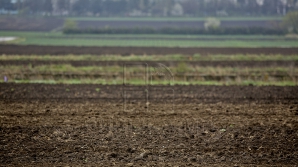 Veste bună pentru agricultori! Până când pot solicita ajutor bănesc de la AIPA