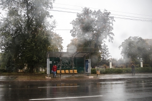 Ploile fac RAVAGII în toată ţara. O şcoală, INUNDATĂ şi mai mulţi arbori DOBORÂŢI LA PĂMÂNT (VIDEO)