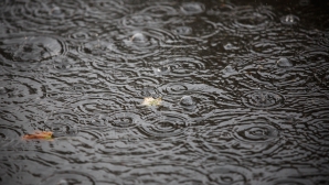 Consecinţele ploilor abundente: 110 localităţi din 19 raioane ale ţării RĂMÂN FĂRĂ CURENT ELECTRIC