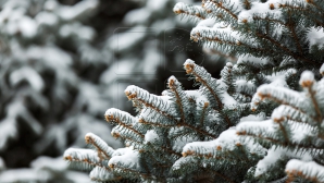 VINE IARNA. Meteorologii anunţă NINSORI în nordul Moldovei
