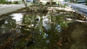 Surpriză pe o stradă din Durlești. După ce s-a înfundat o canalizare, strada s-a transformat în patinuar