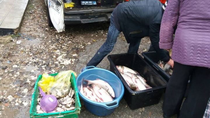 Amenzi USTURĂTOARE pentru vânzătorii ambulanţi de peşte fără acte în regulă (FOTO)