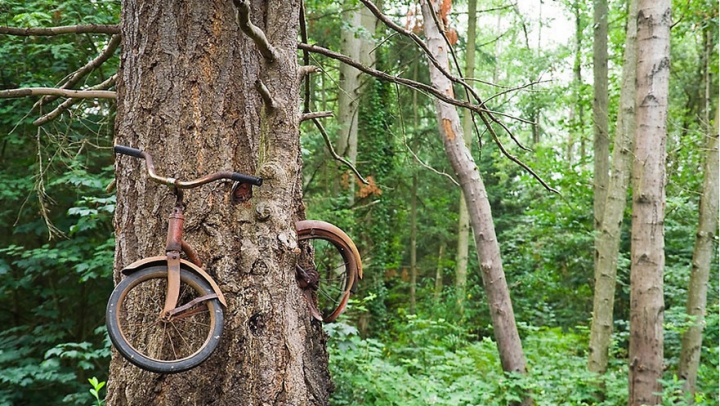 IMPRESIONANT! Fotografii care demonstrează că natura poate învinge civilizaţia (FOTO)