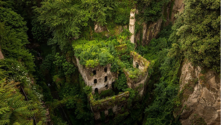 IMPRESIONANT! Fotografii care demonstrează că natura poate învinge civilizaţia (FOTO)