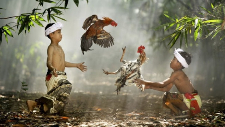 Colecţie de FOTOGRAFII IMPRESIONANTE ce au câştigat premii peste tot în lume 