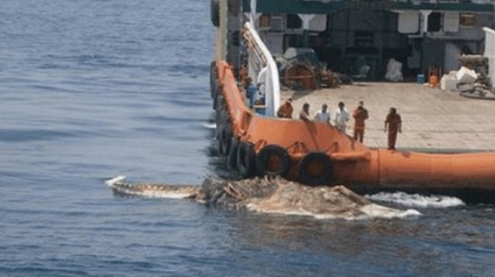 Descoperire înfiorătoare! Marinarii au îngheţat de spaimă când au văzut ce iese din adâncuri (FOTO)