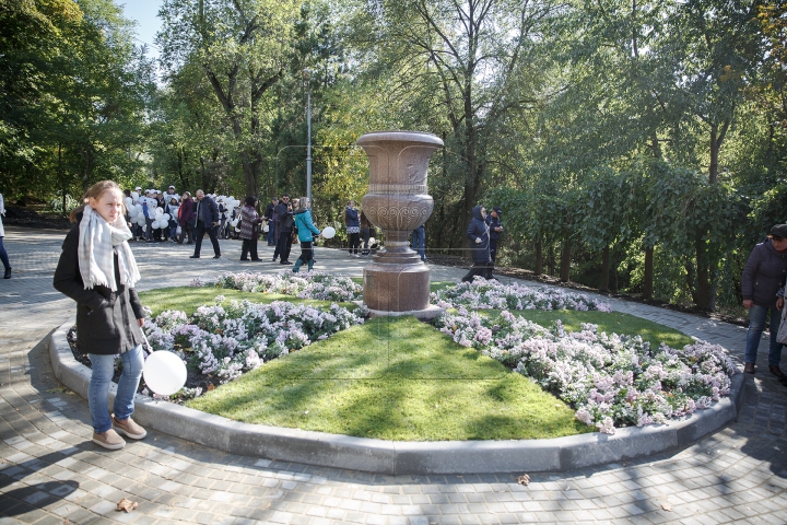 Scara Cascadelor, în sfârşit inaugurată! Cât de frumos este monumentul unic în Moldova (FOTOREPORT)