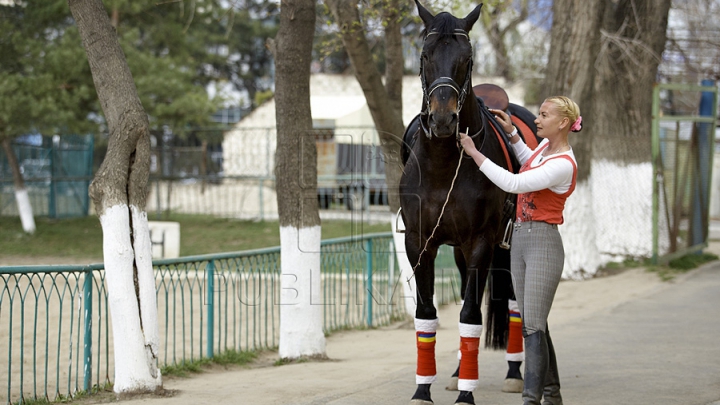 HIPISMUL previne stresul. Psihologii din cadrul IGP au testat această teorie