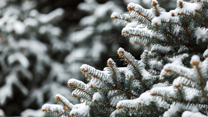 NINGE ÎN MOLDOVA! Unde a căzut prima ninsoare din această toamnă (FOTO/VIDEO)