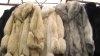 Moldovenii, tot mai atraşi de lux: Au cumpărat mii de haine de blană şi tone de bijuterii