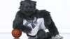 SPECTACOL ÎN NBA. O mascotă a dansat fără inhibiţii pe ritmurile cântecului Pony (VIDEO)