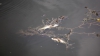 IMAGINI DEZOLANTE: Zeci de mii de pești morți pluteau la suprafața apei pe un canal din New York