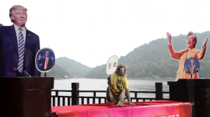 O tigroaică, un urs polar și o maimuță și-au votat favoritul pentru Președinția SUA