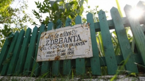 Zdreanţă, eroul poeziei copilăriei noastre. Cum arăta în realitate câinele iubit al lui Arghezi (FOTO)