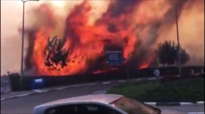 Pârjolul din Israel, provocat INTENŢIONAT. Zeci de oameni au suferit arsuri, iar sute de mașini AU ARS COMPLET