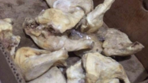 SCANDALUL alimentelor alterate ia amploare! Alimentele destinate copiilor și soldaților, VERIFICATE cu strictețe