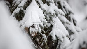 IARNA-I GREA, OMĂTU-I MARE! Viscolul şi ninsorile puternice au pus stăpânire pe ţările vecine