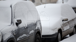 VREMEA REA şi NINSORILE au pus stăpânire pe Moscova. Traficul aerian şi cel rutier, PERTURBAT