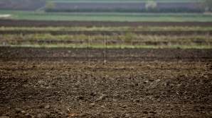 Ministerul Agriculturii vrea să ajute tinerii fermieri să-şi dezvolte afacerile și să-şi extindă exporturile