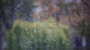 Baba Dochia îşi scutură cojoacele! În centrul ţării a nins (VIDEO)