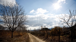 Câtă NESIMȚIRE! Mai multe persoane au TĂIAT o livadă cu nuci și au INCENDIAT casa paznicului