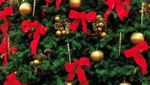 Atmosferă de sărbătoare la Casa Albă. La reședința președintelui SUA a ajuns pomul de Crăciun 