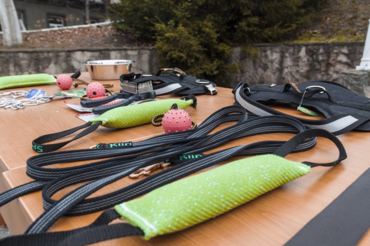 Un ciobănesc german și un ciobănesc belgian, noii angajaţi în echipele Poliţiei de Frontieră (FOTO)