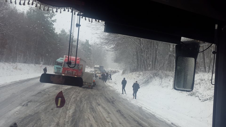 ALEGERI MOLDOVA, TURUL II: De neoprit! Cum au fost surprinşi 8 bărbaţi în drum spre secţia de votare (FOTO)