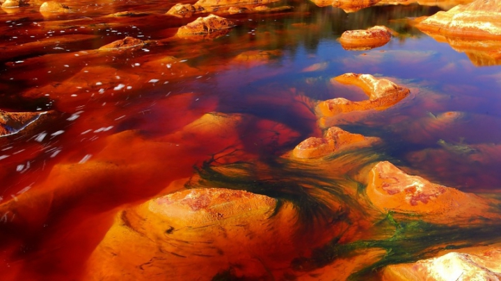 IMPRESIONANT! Iluzii optice create de natură (FOTO)