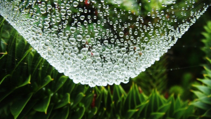 IMPRESIONANT! Iluzii optice create de natură (FOTO)