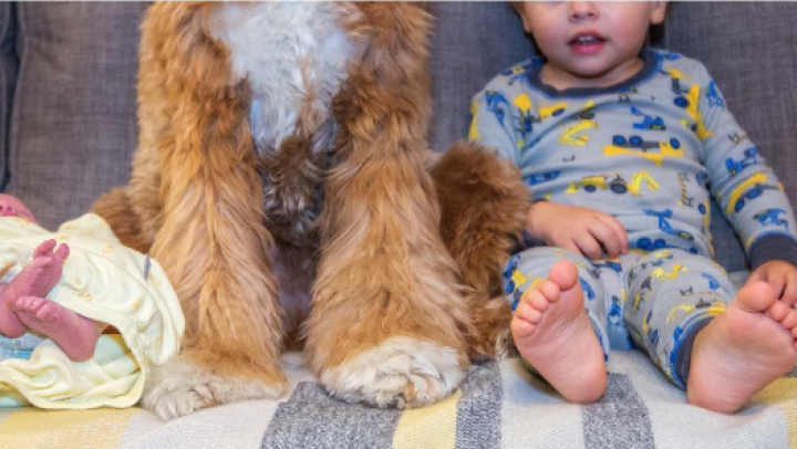 ADORABIL! Prietenia deosebită dintre un băieţel şi căţelul său a surprins tot internetul (FOTO)