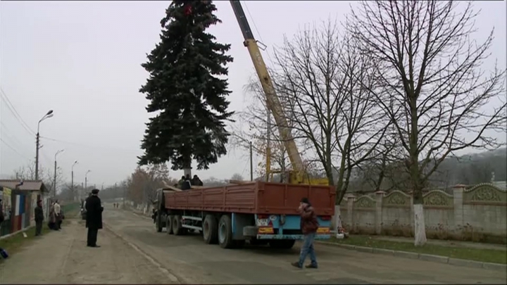 Principalul Pom de Crăciun al țării a fost instalat în centrul Capitalei. CUM ARATĂ (FOTOREPORT)